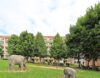 4 Raumwohnung mit Balkon - Hausansicht